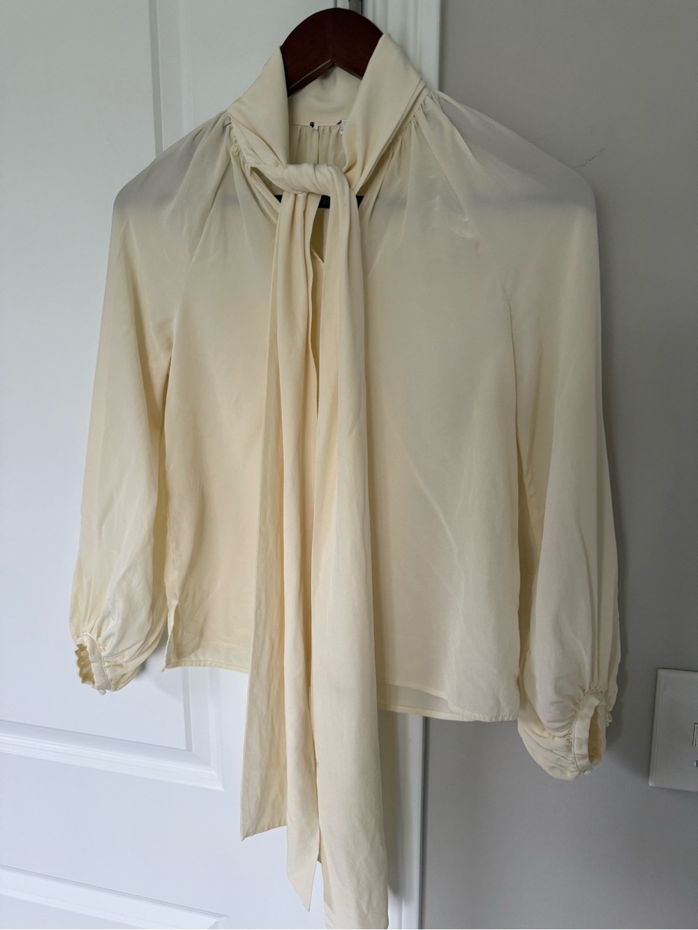 Cuyana Silk Statement Sleeve Blouse